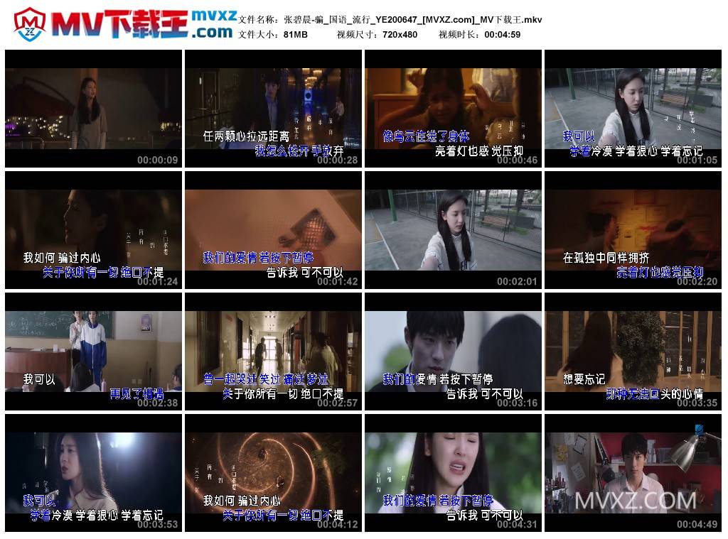 张碧晨-骗_国语_流行_YE200647